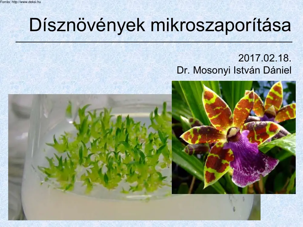 Dr. Mosonyi István Dániel -Dísznövények mikroszaporítása