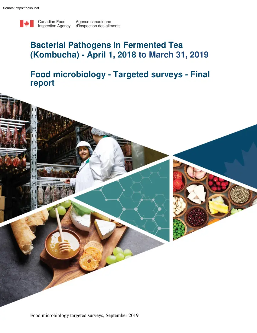 Bacterial Pathogens in Fermented Tea, Kombucha