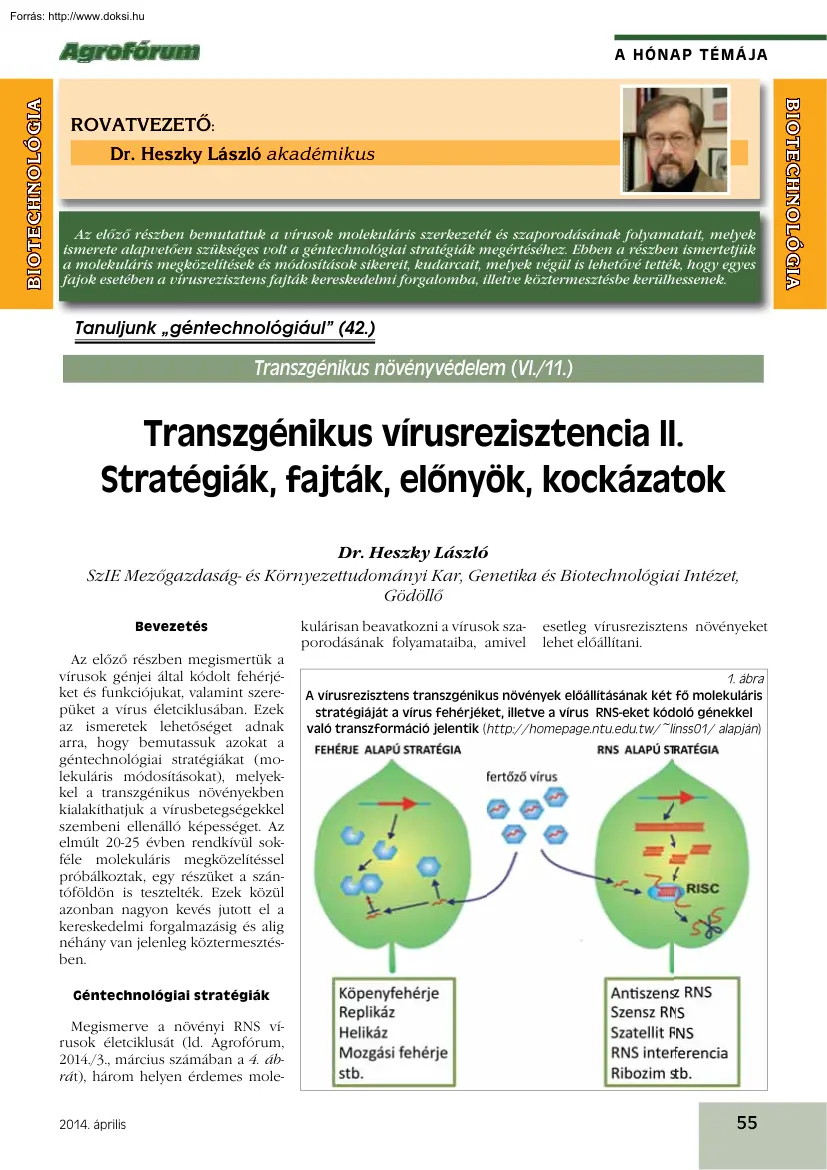 Dr. Heszky László - Transzgénikus vírusrezisztencia II. Stratégiák, fajták, előnyök