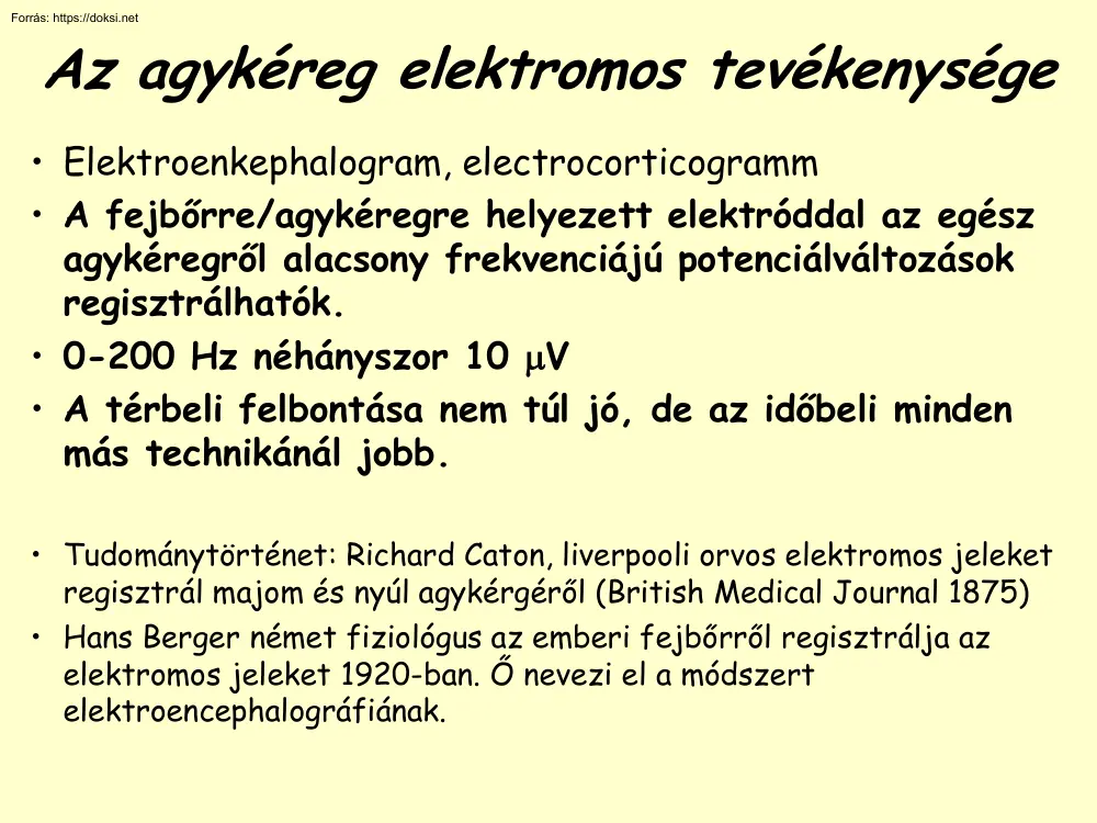Az agykéreg elektromos tevékenysége