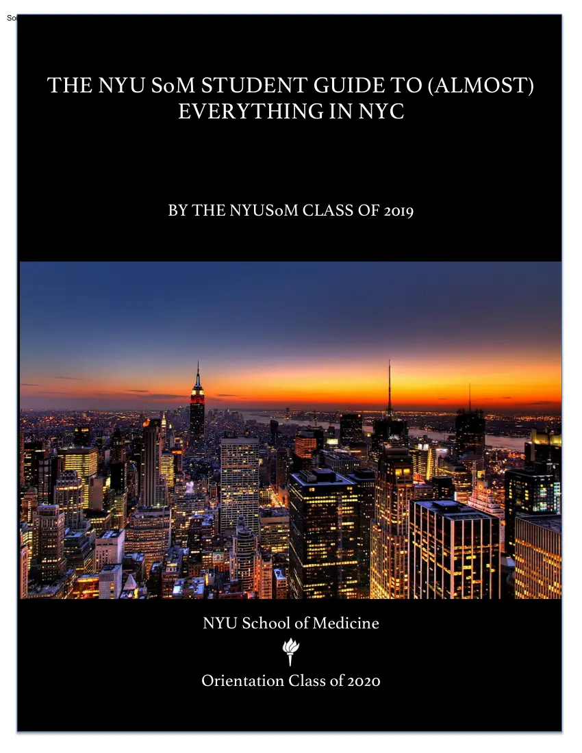 The NYU SoM Student Guide to Everything in NYC