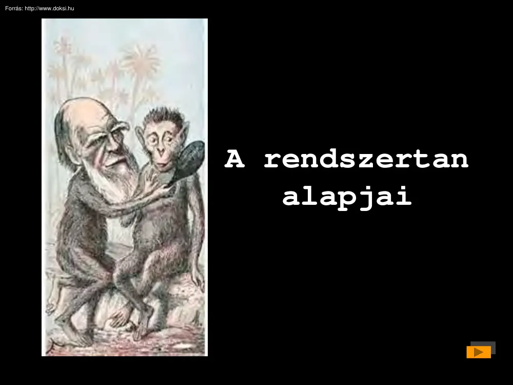A rendszertan alapjai
