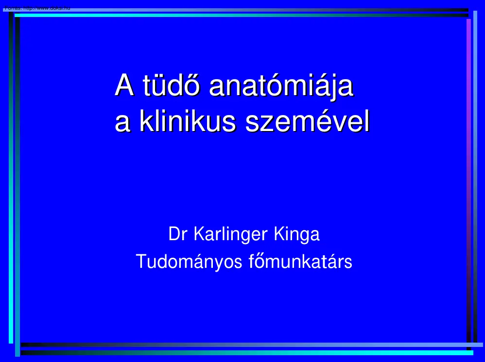 Dr. Karlinger Kinga - A tüdő anatómiája a klinikus szemével