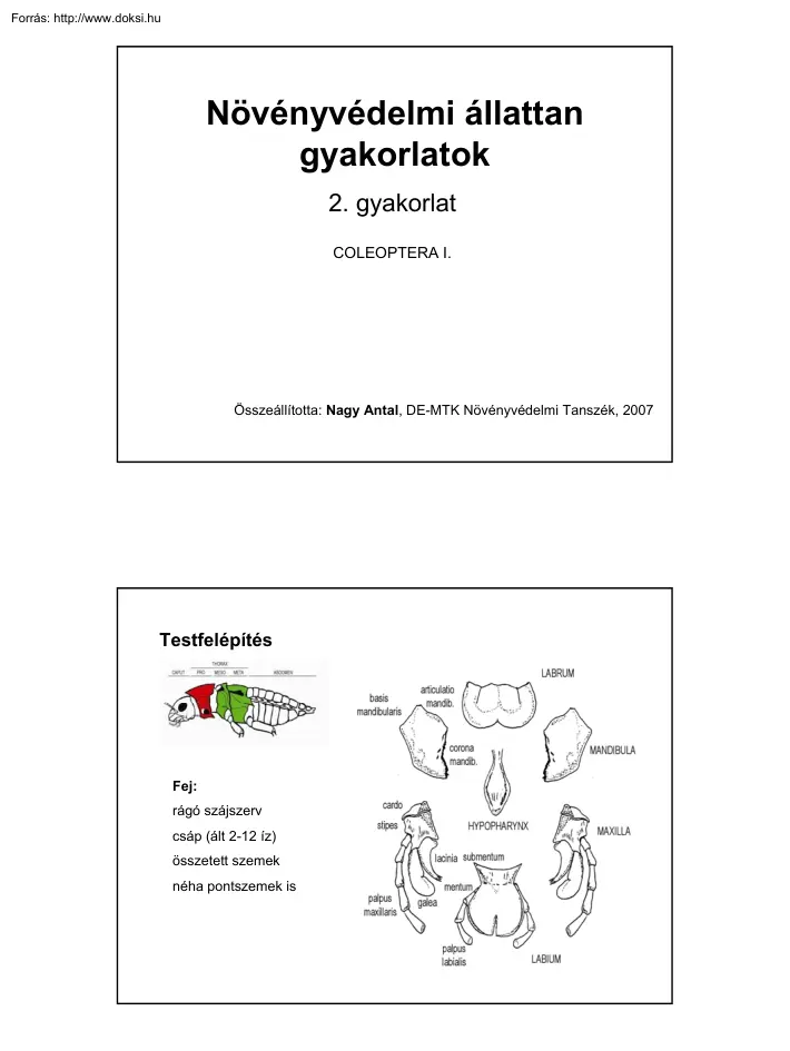 Nagy Antal - Növényvédelmi állattan gyakorlat