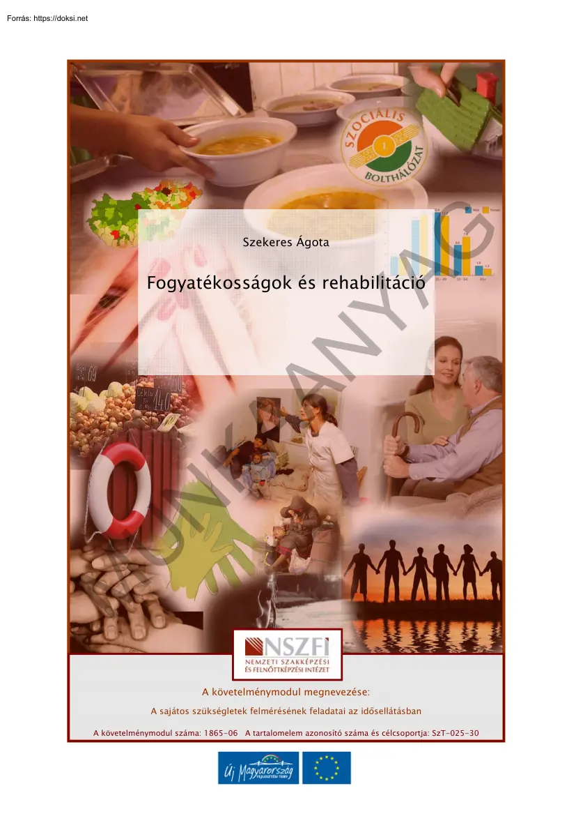 Szekeres Ágota - Fogyatékosságok és rehabilitáció