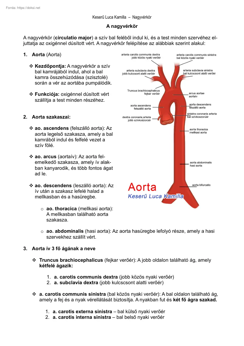 Keserű Luca Kamilla - Nagyvérkör