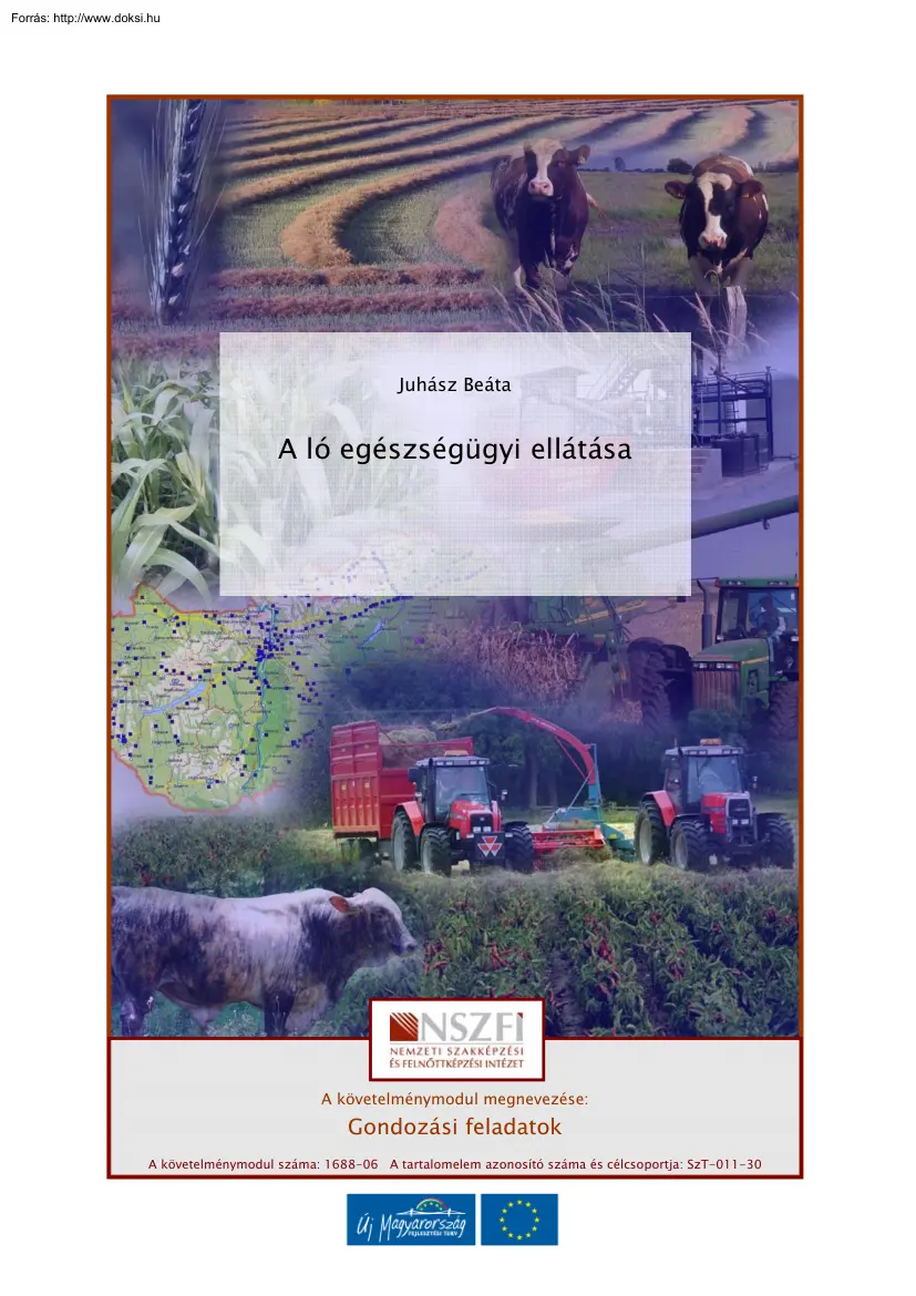 Juhász Beáta - A ló egészségügyi ellátása