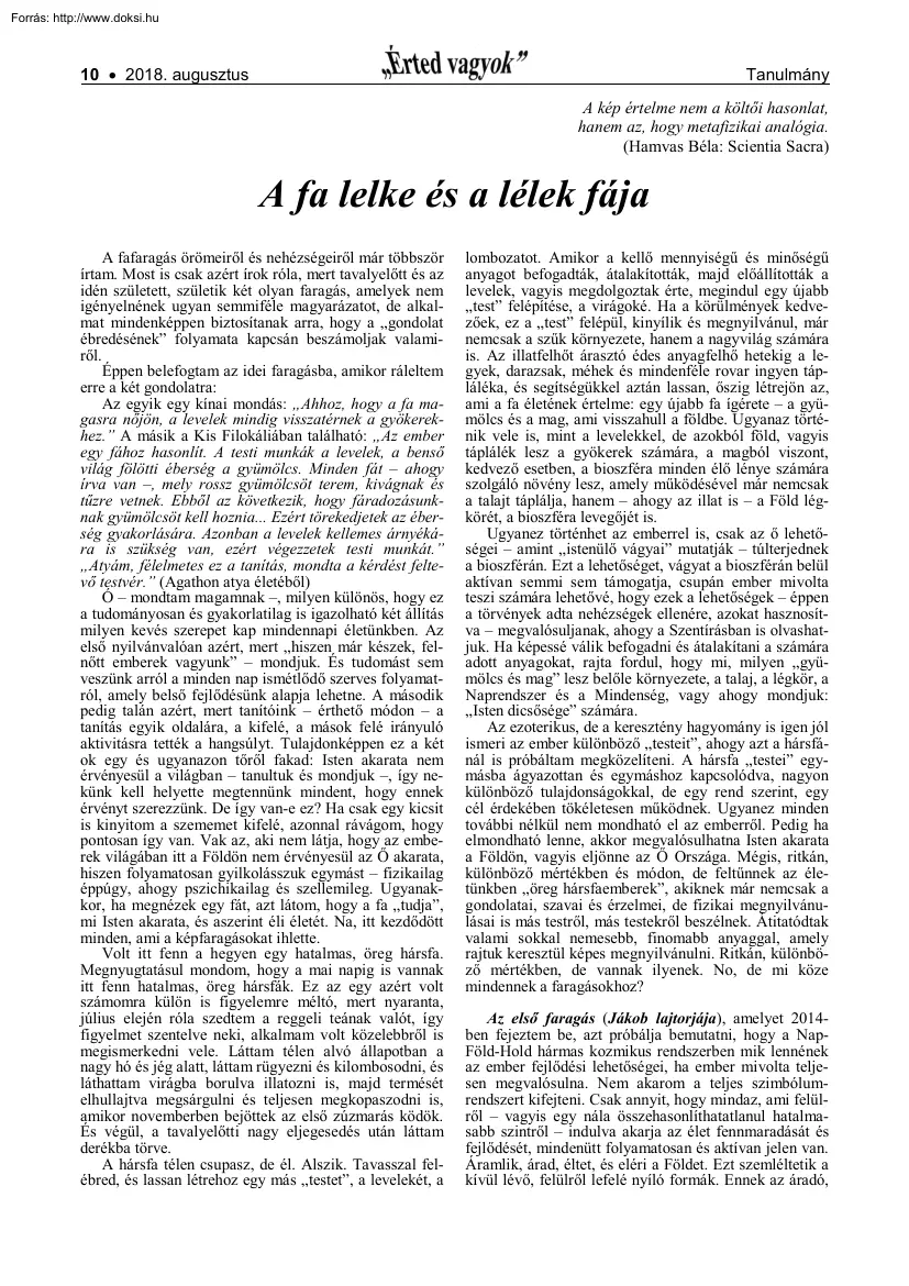 Farkas István - A fa lelke és a lélek fája