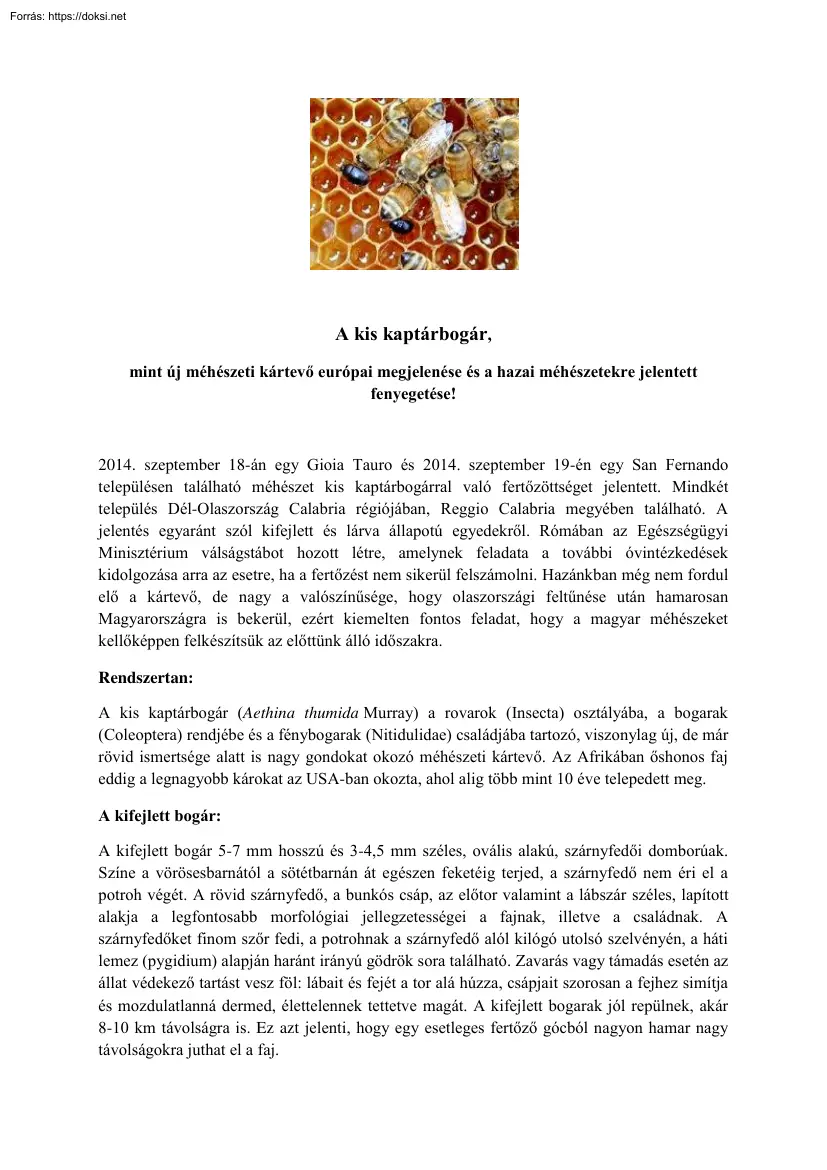 A kis kaptárbogár, mint új méhészeti kártevő európai megjelenése és a hazai