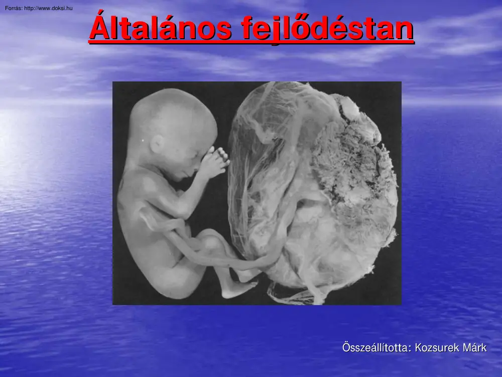 Általános fejlődestan