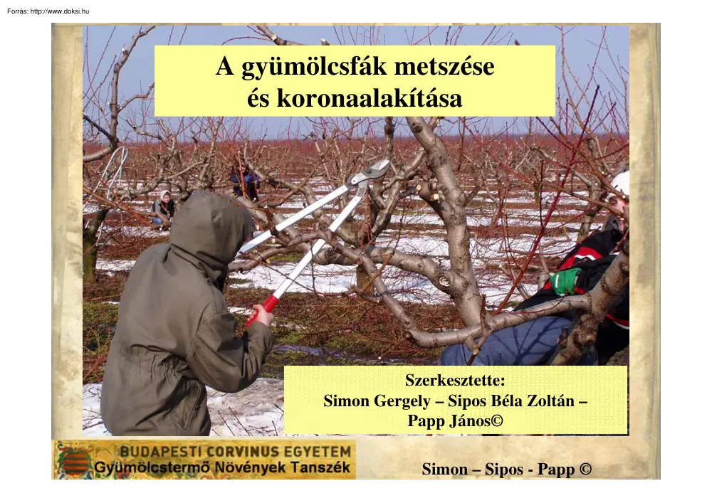 Simon-Sipos-Papp - A gyümölcsfák metszése és koronaalakítása