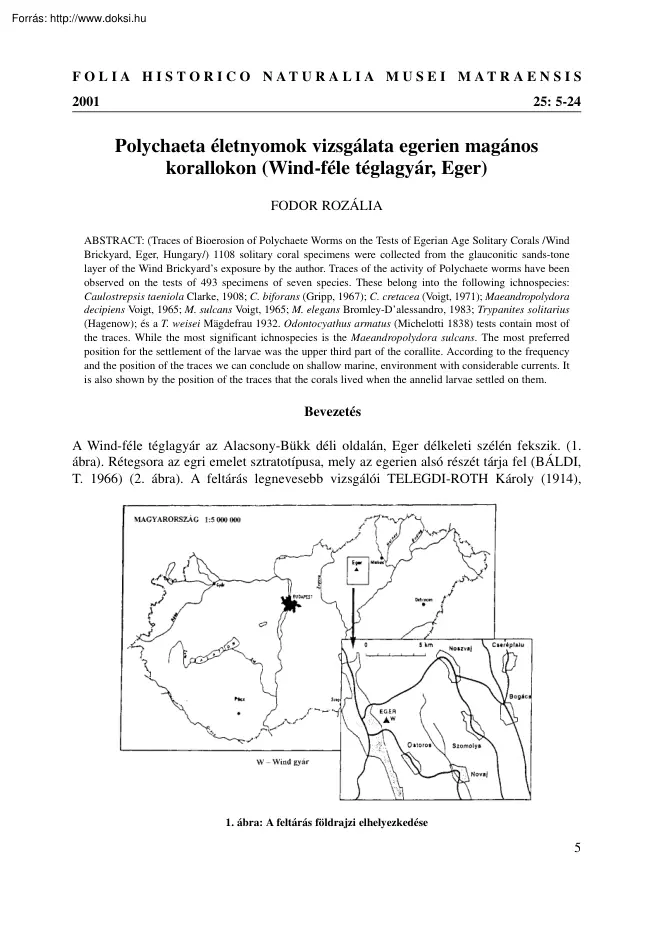 Fodor Rozália - Polychaeta életnyomok vizsgálata egerien magános korallokon