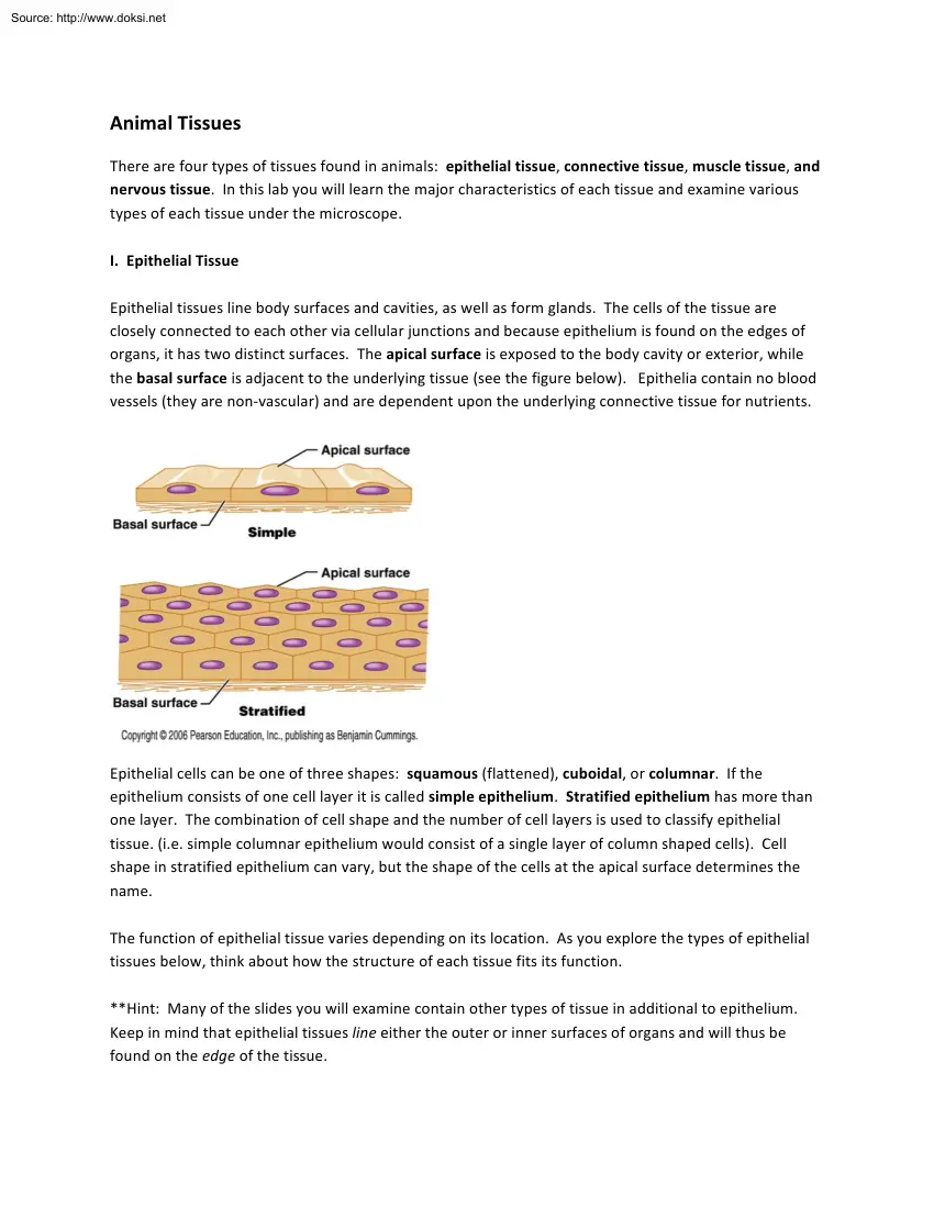 Animal tissues
