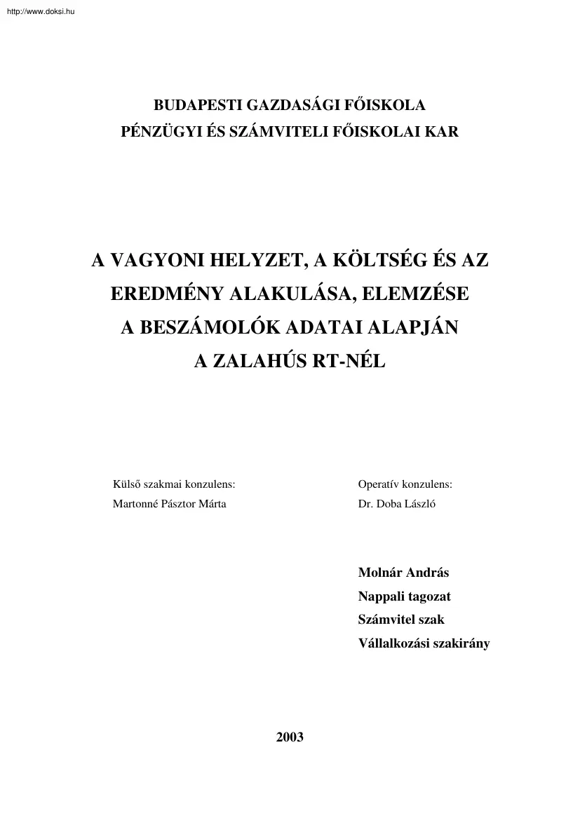 Molnár András - A vagyoni helyzet, a költség és az eredmény elekulása, elemzése a