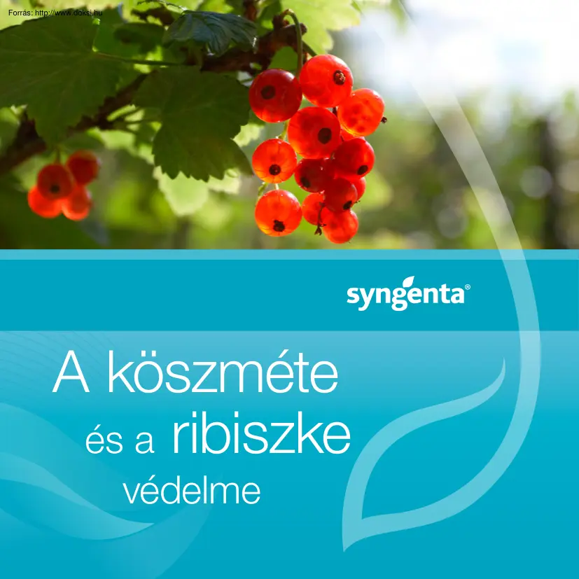 A köszméte, ribiszke, málna, szeder és a szamóca védelme