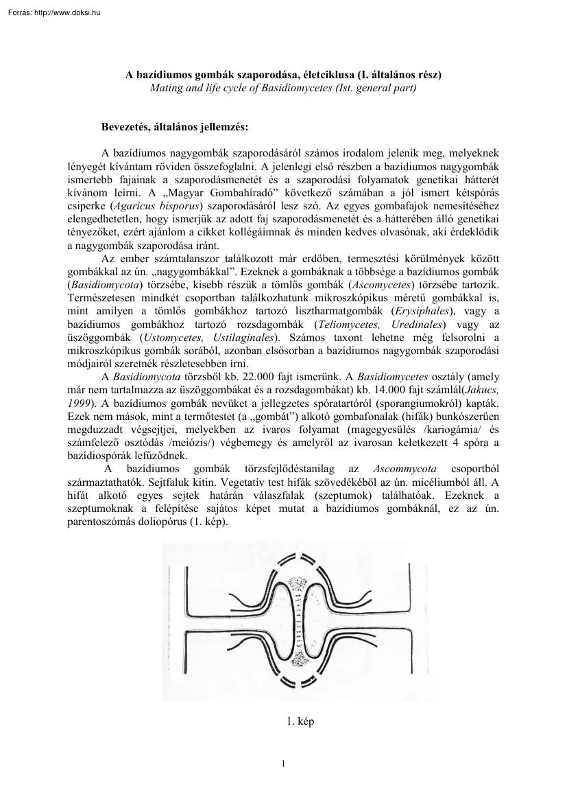 Szarvas József - A bazidiumos gombák szaporodása, életciklusa