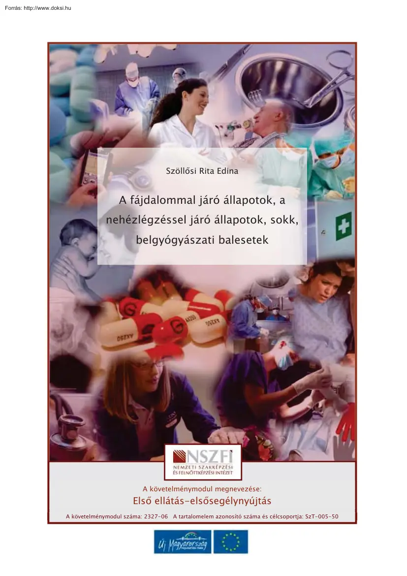 Szöllősi Rita Edina - A fájdalommal járó állapotok, sokk, belgyógyászati balesetek