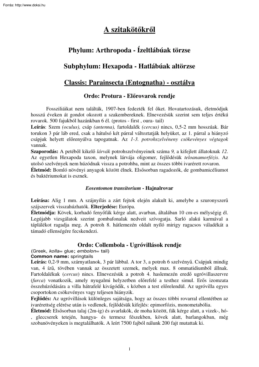 A szitakötőkről