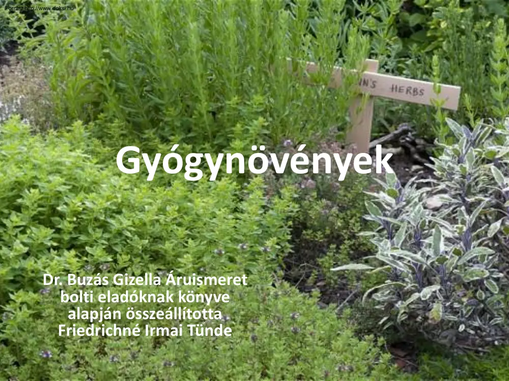 Dr. Buzás Gizella - Gyógynövények