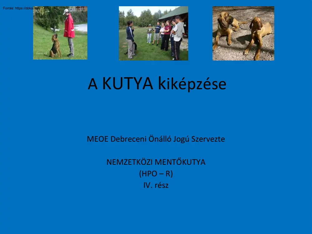 A nemzetközi mentőkutya kiképzése, 4. rész