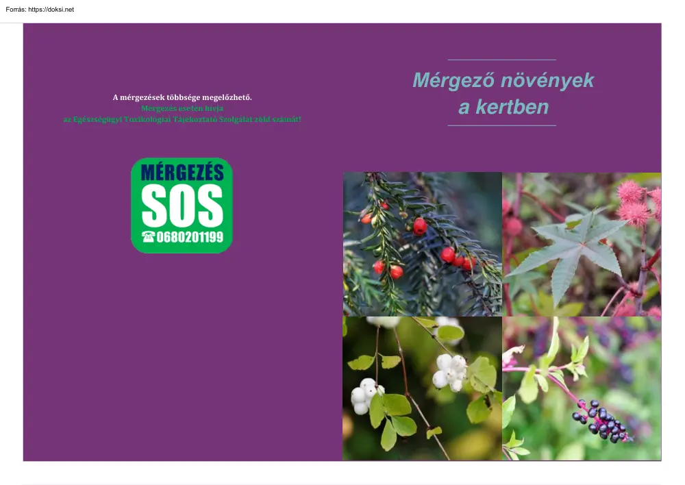 Fosztó Szabolcs - Mérgező növények a kertben