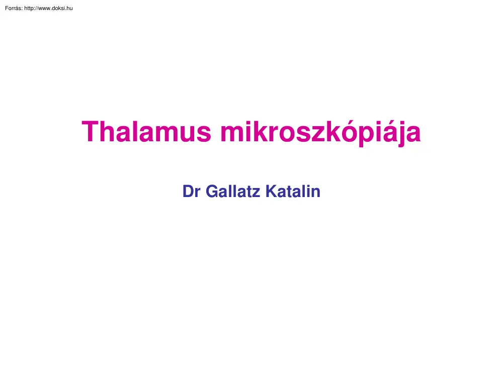 Dr. Gallatz Katalin - A Thalamus mikroszkópiája