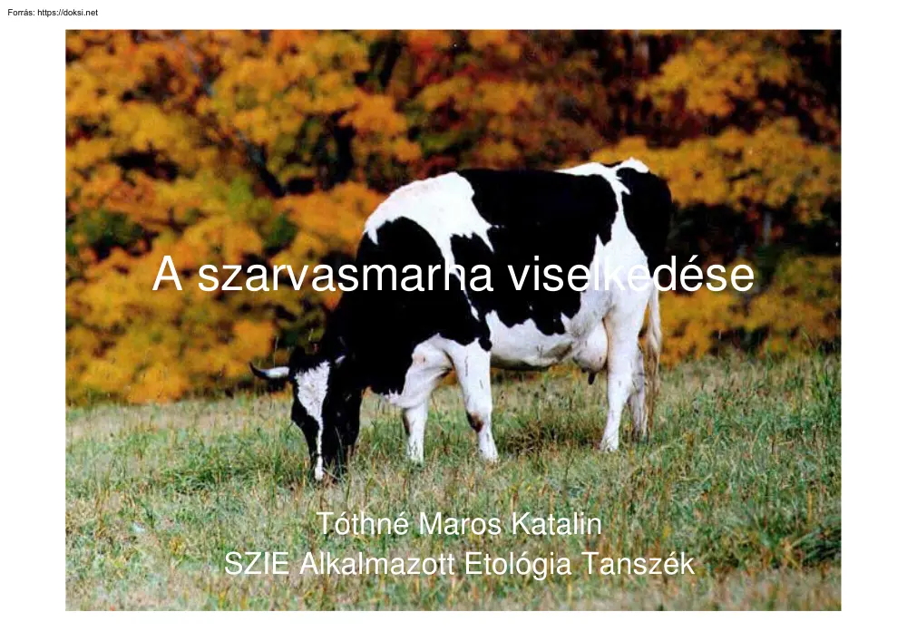 Tóthné Maros Katalin - A szarvasmarha viselkedése