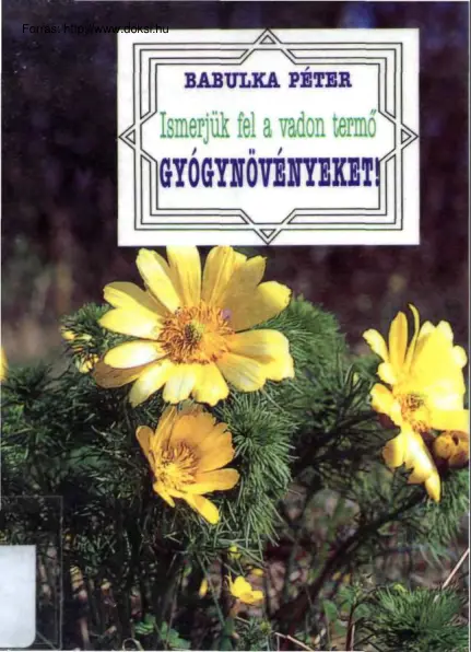 Balbulka Péter - Ismerjük fel a vadon termő gyógynövényeket