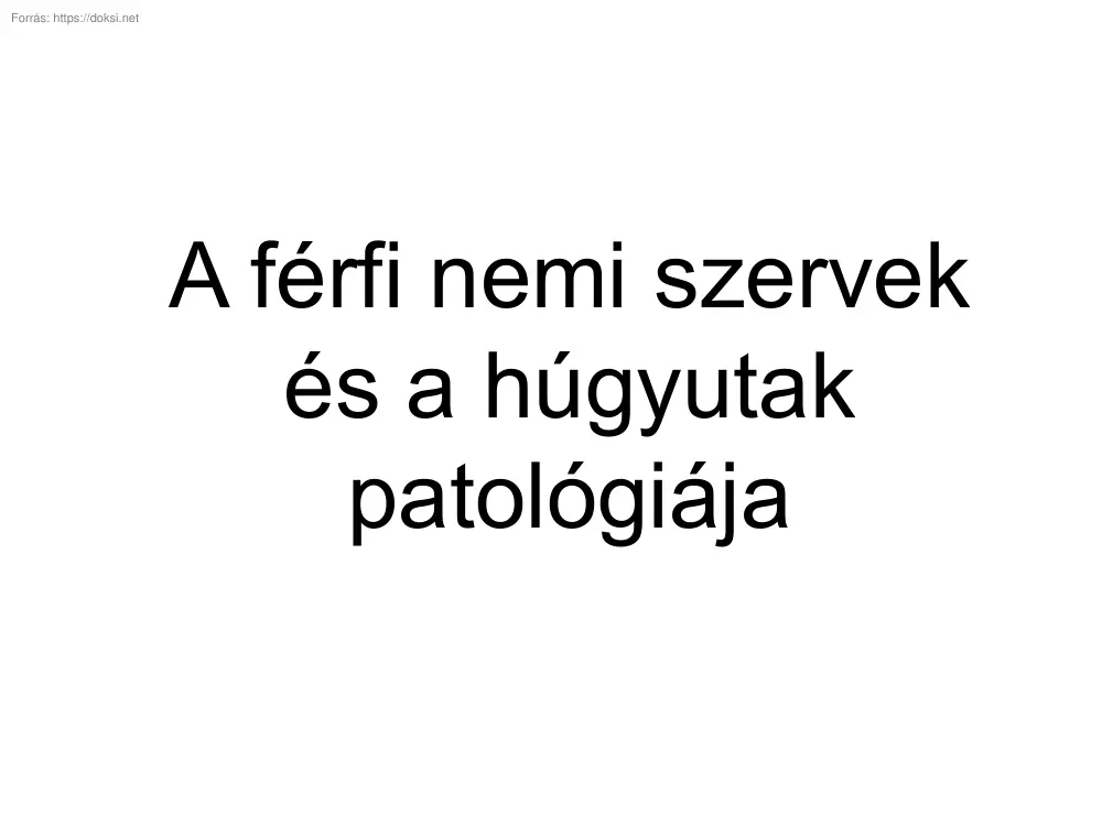 A férfi nemi szervek és a húgyutak patológiája