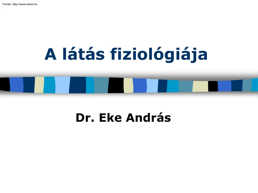 Dr. Eke András - A látás fiziológiája