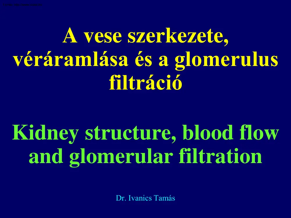 Dr. Ivanics Tamás - A vese szerkezete, véráramlása és a glomerulus filtráció