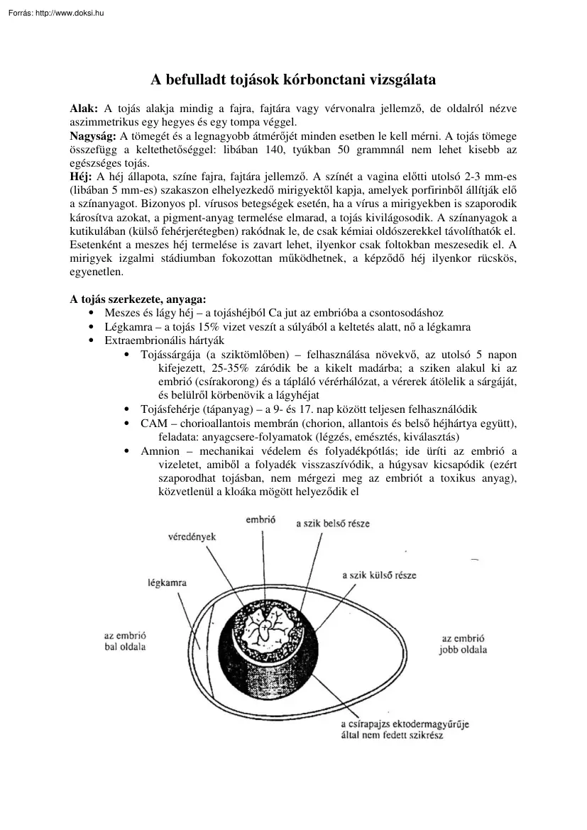 A befulladt tojások kórbonctani vizsgálata