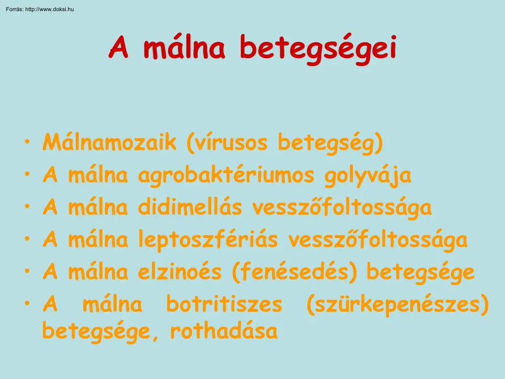 A málna betegségei
