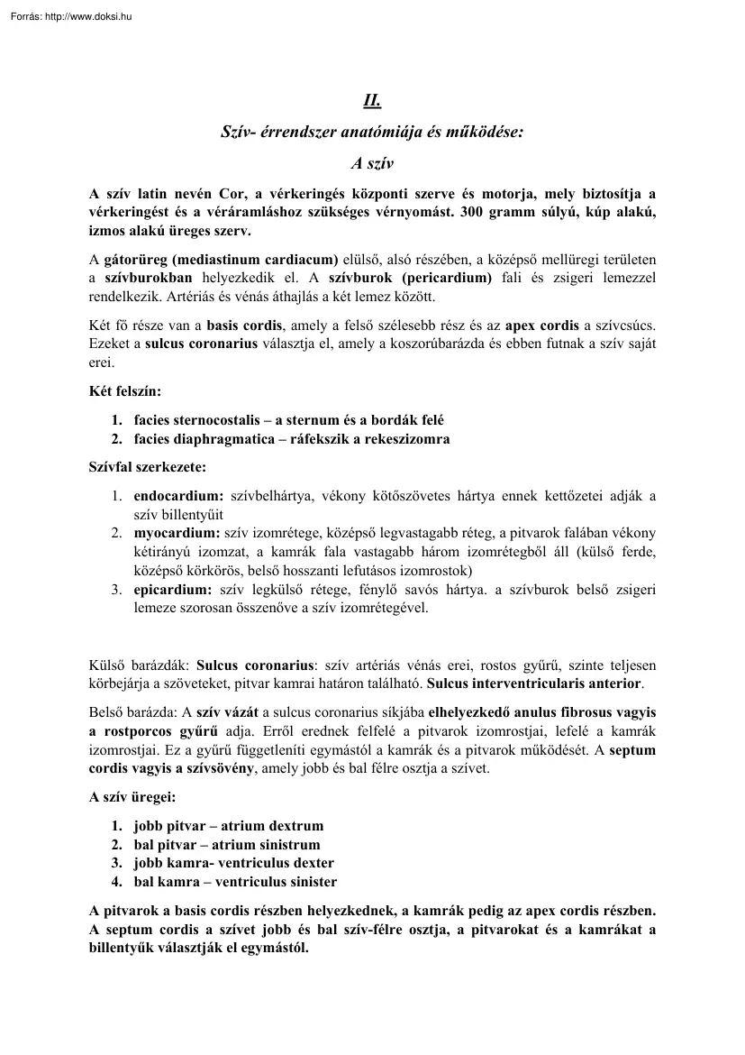 Szív- érrendszer anatómiája és működése
