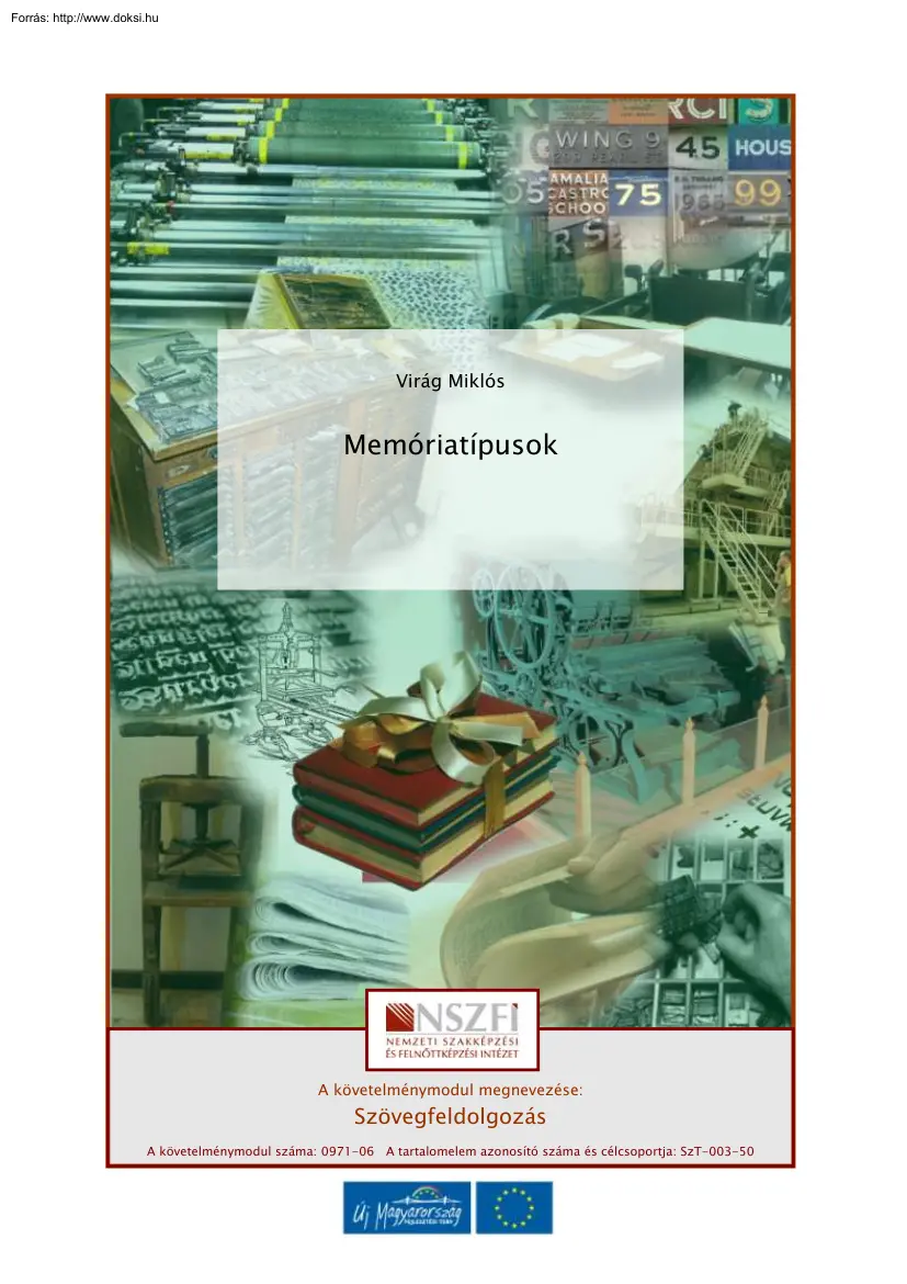 Virág Miklós - Memóriatípusok