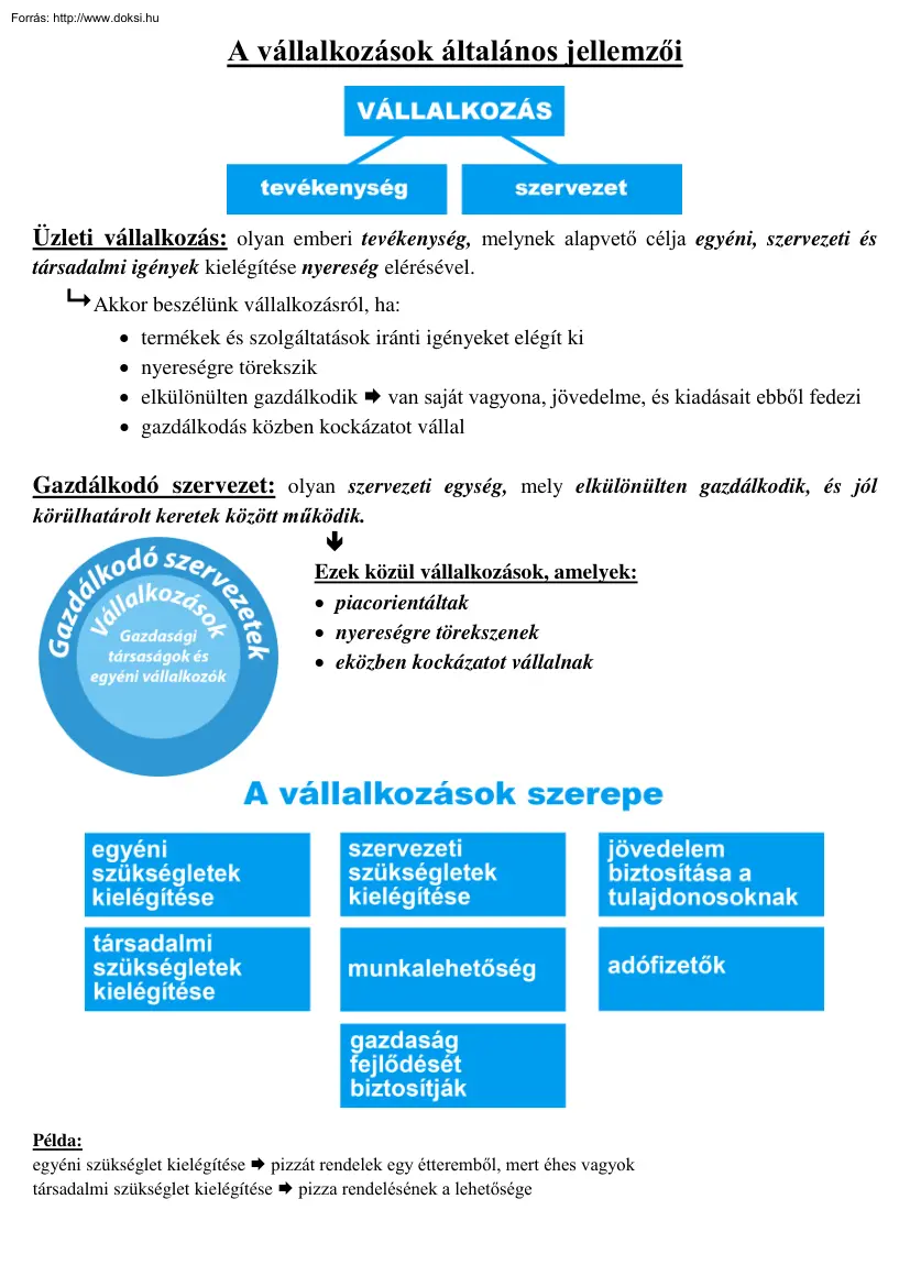 Nagyúr Gábor - A vállalkozások általános jellemzői