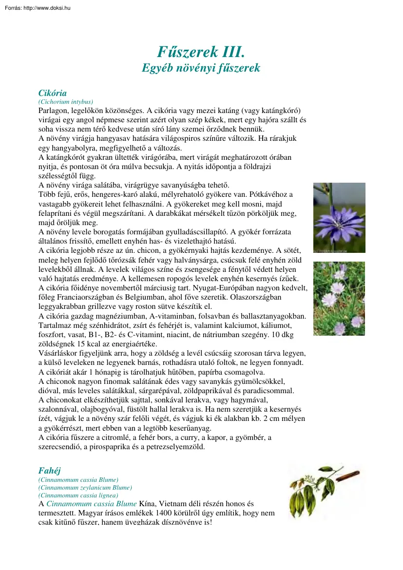 Fűszerek III
