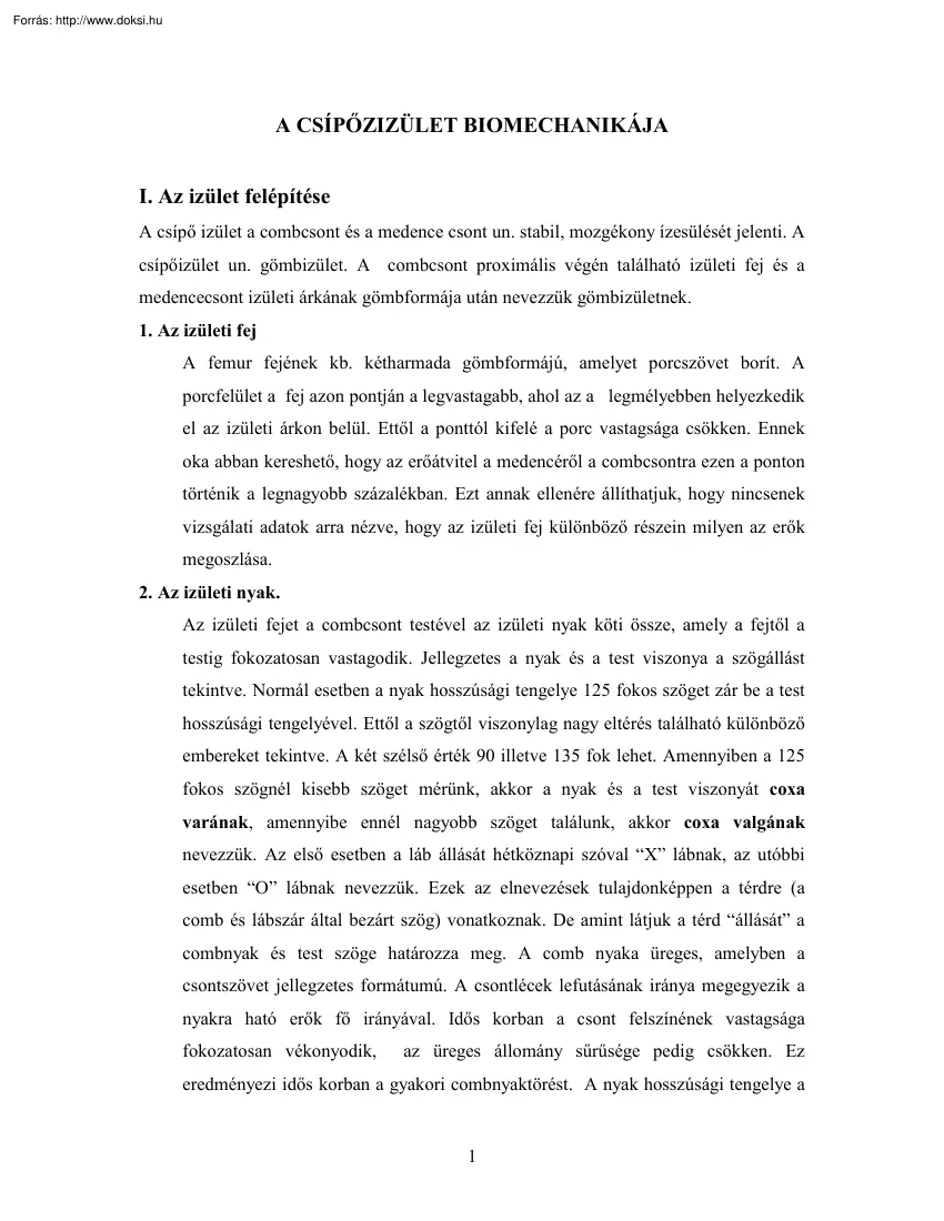A csípőizület biomechanikája