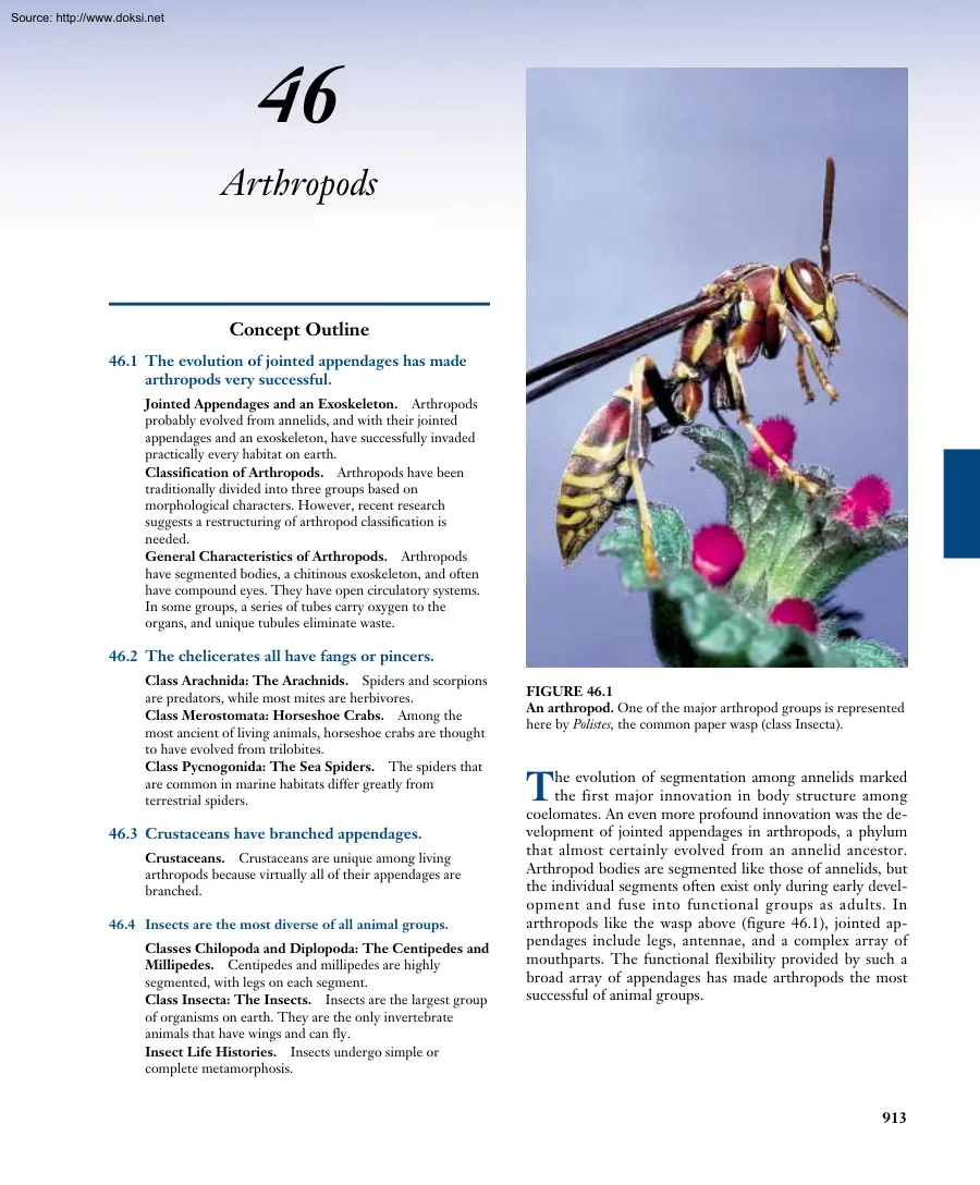 Arthropods