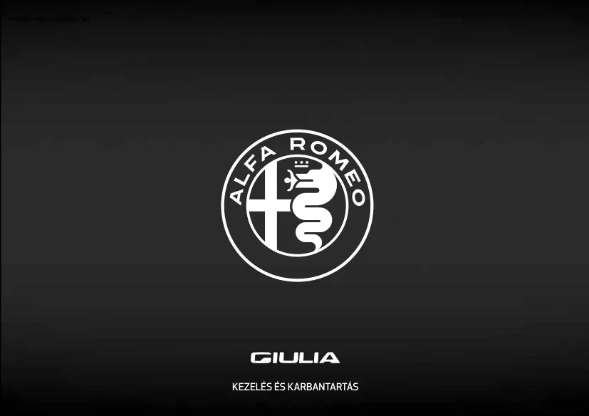 Alfa Romeo Giulia, kezelés és karbantartás