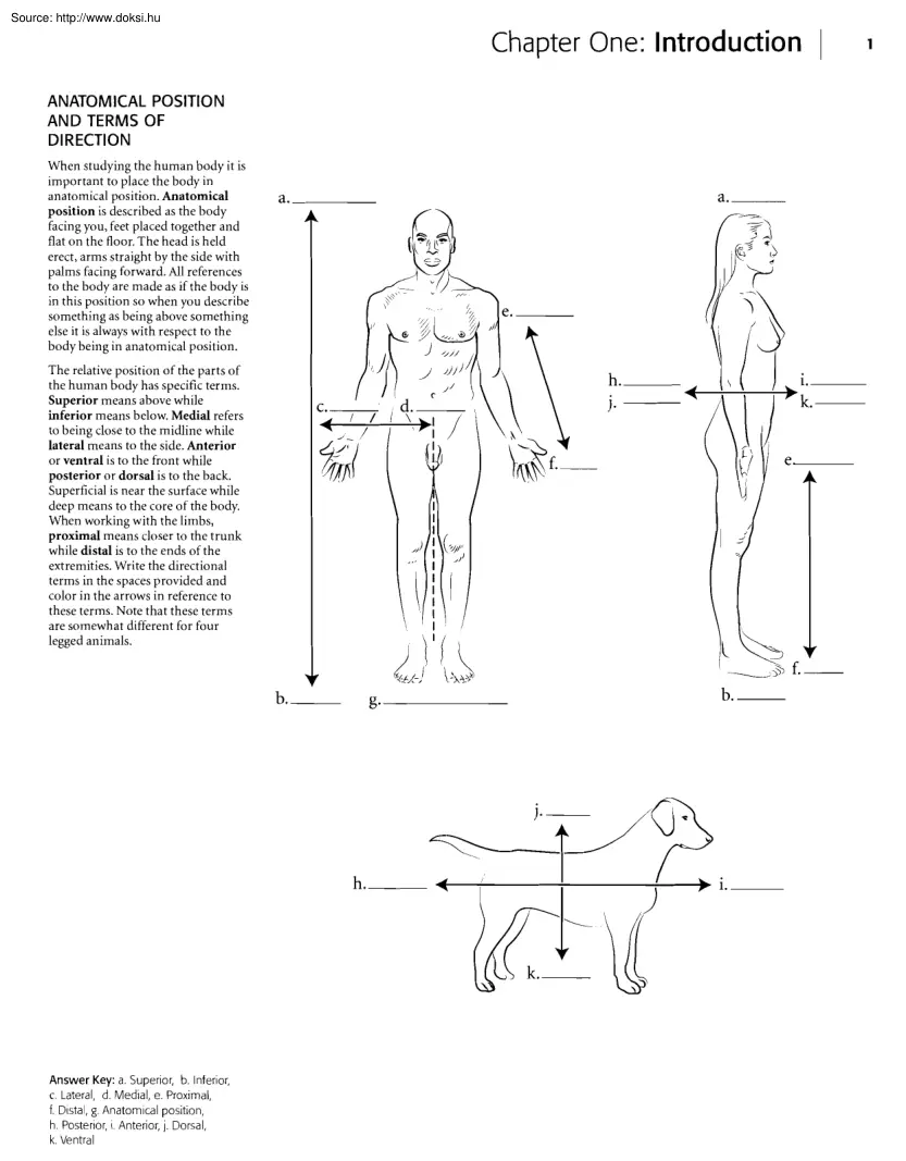 Kaplan anatomy coloring book
