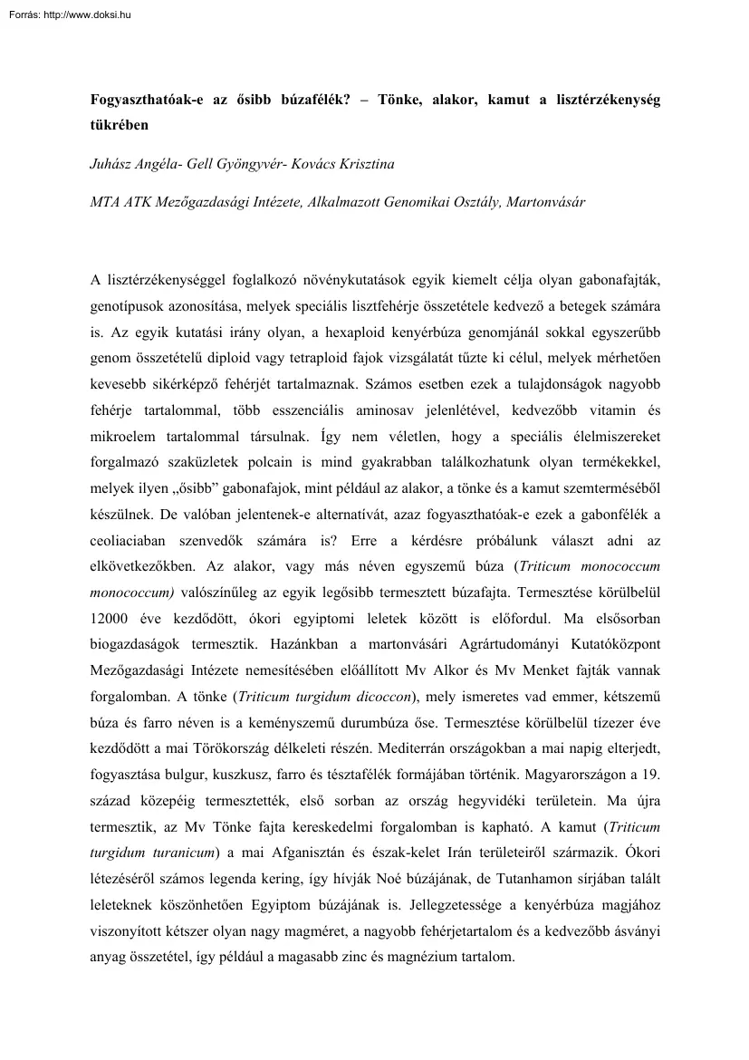 Juhász-Gell-Kovács - Fogyaszthatóak-e az ősibb búzafélék