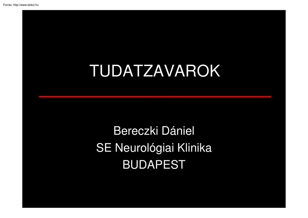 Bereczki Dániel - Tudatzavarok