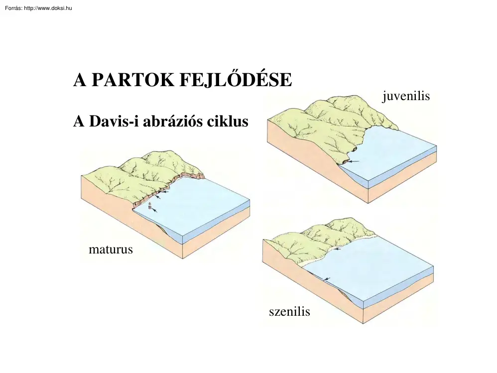 A partok fejlődése