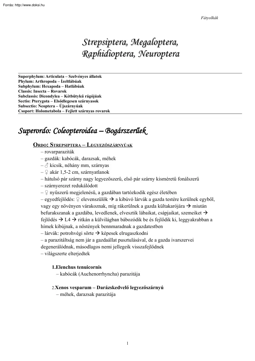 Coleopteroidea (Bogárszerűek), Neuropteroidea (Recésszárnyú-formájúak)