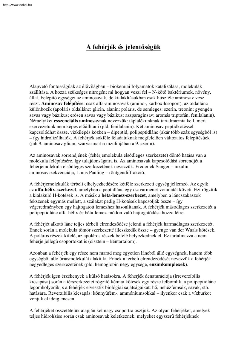 A fehérjék és jelentőségük