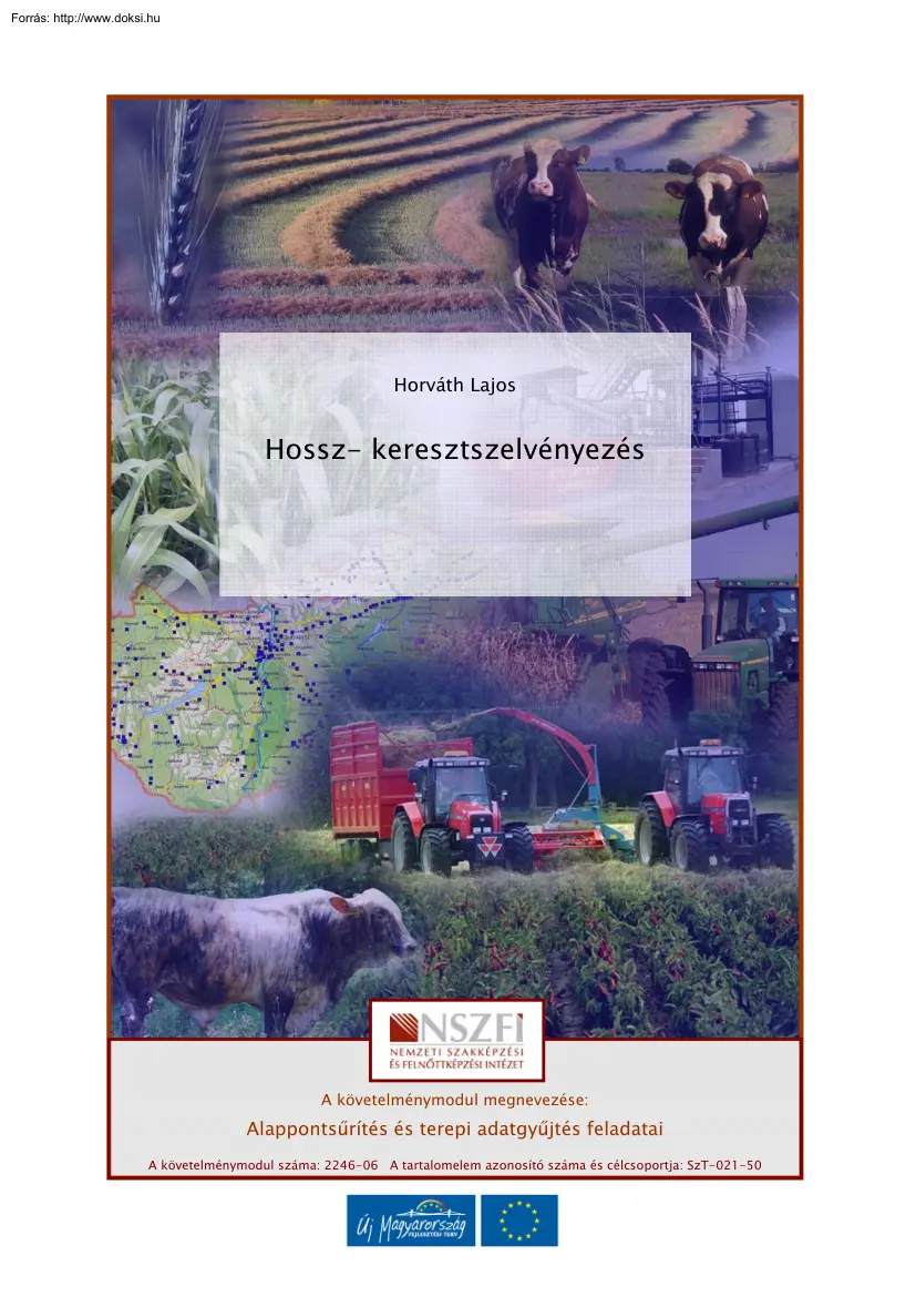 Horváth Lajos - Hossz- és keresztszelvényezés