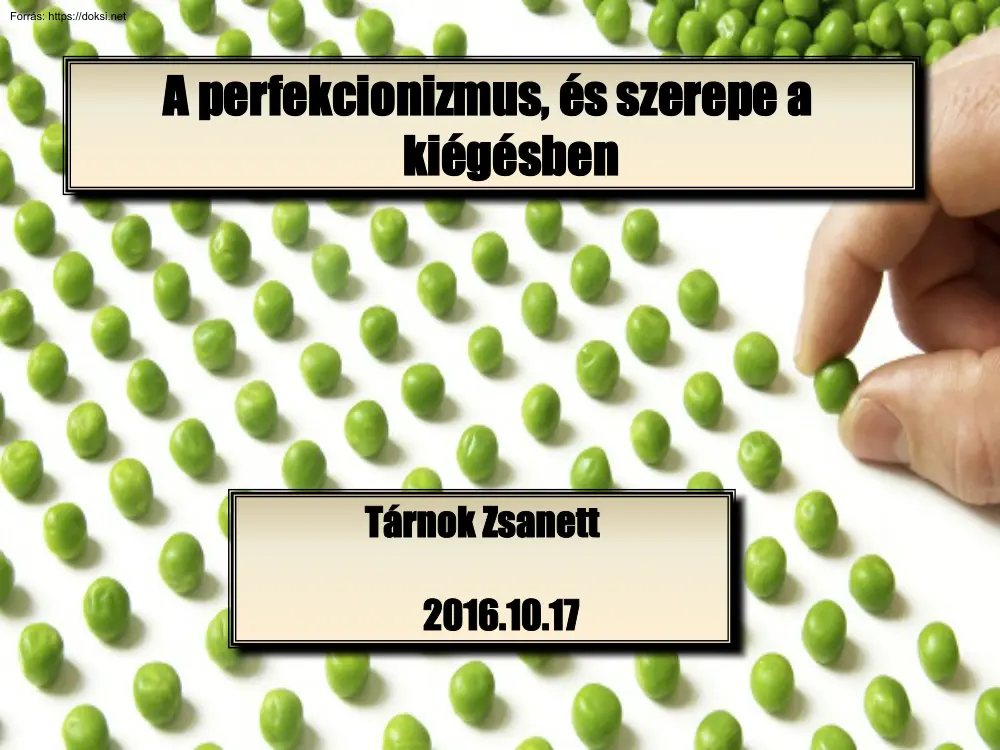 Tárnok Zsanett - A perfekcionizmus, és szerepe a kiégésben