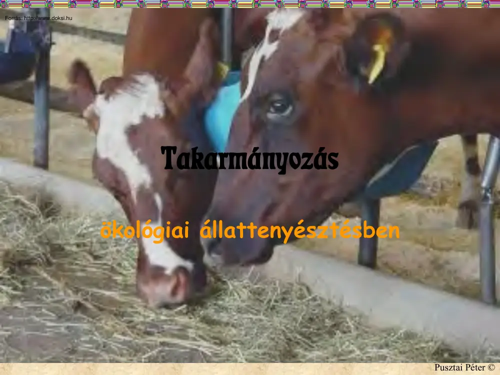 Takarmányozás az ökológiai állattenyésztésben