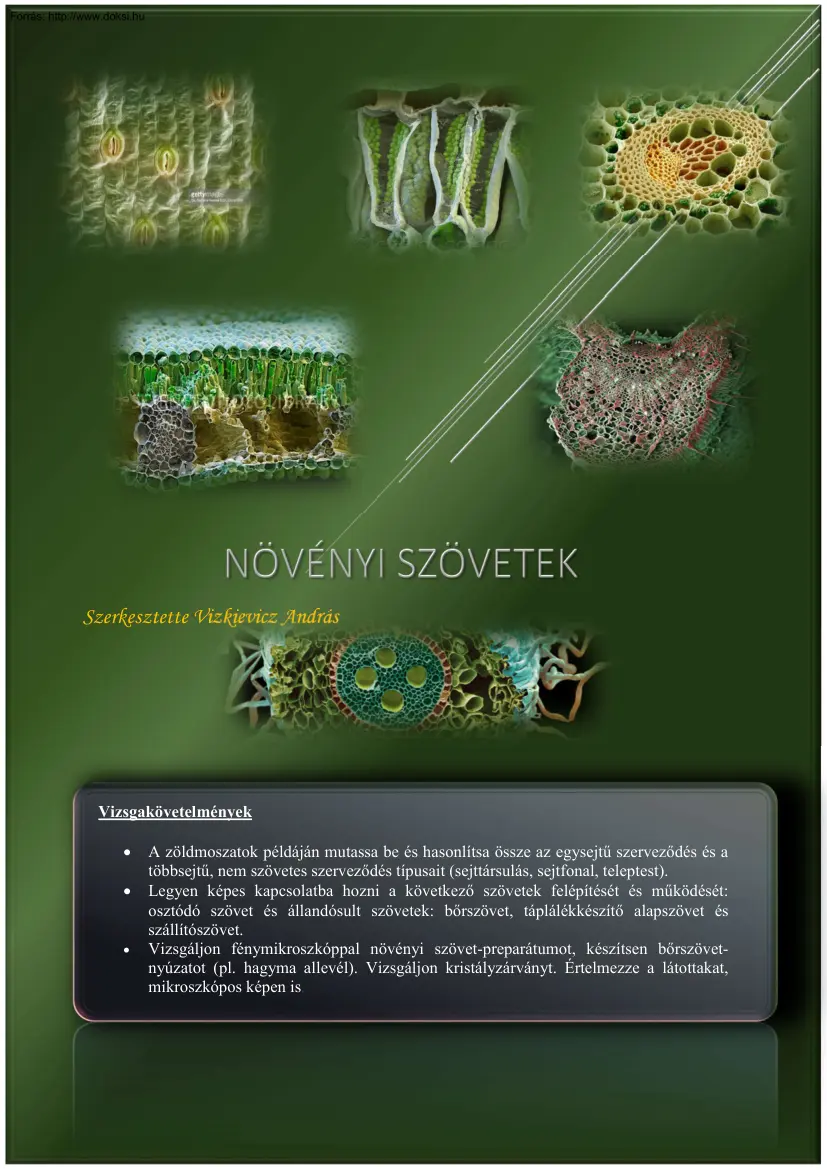 Vizkievicz András - Növényi szövetek